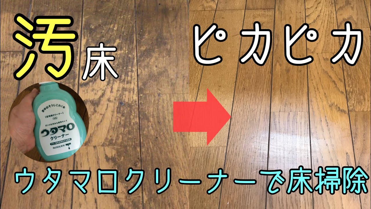 【フローリングの掃除】床の汚れを落とす方法！ウタマロクリーナーで床掃除してみた…【床掃除•黒ずみ•カビ取り】