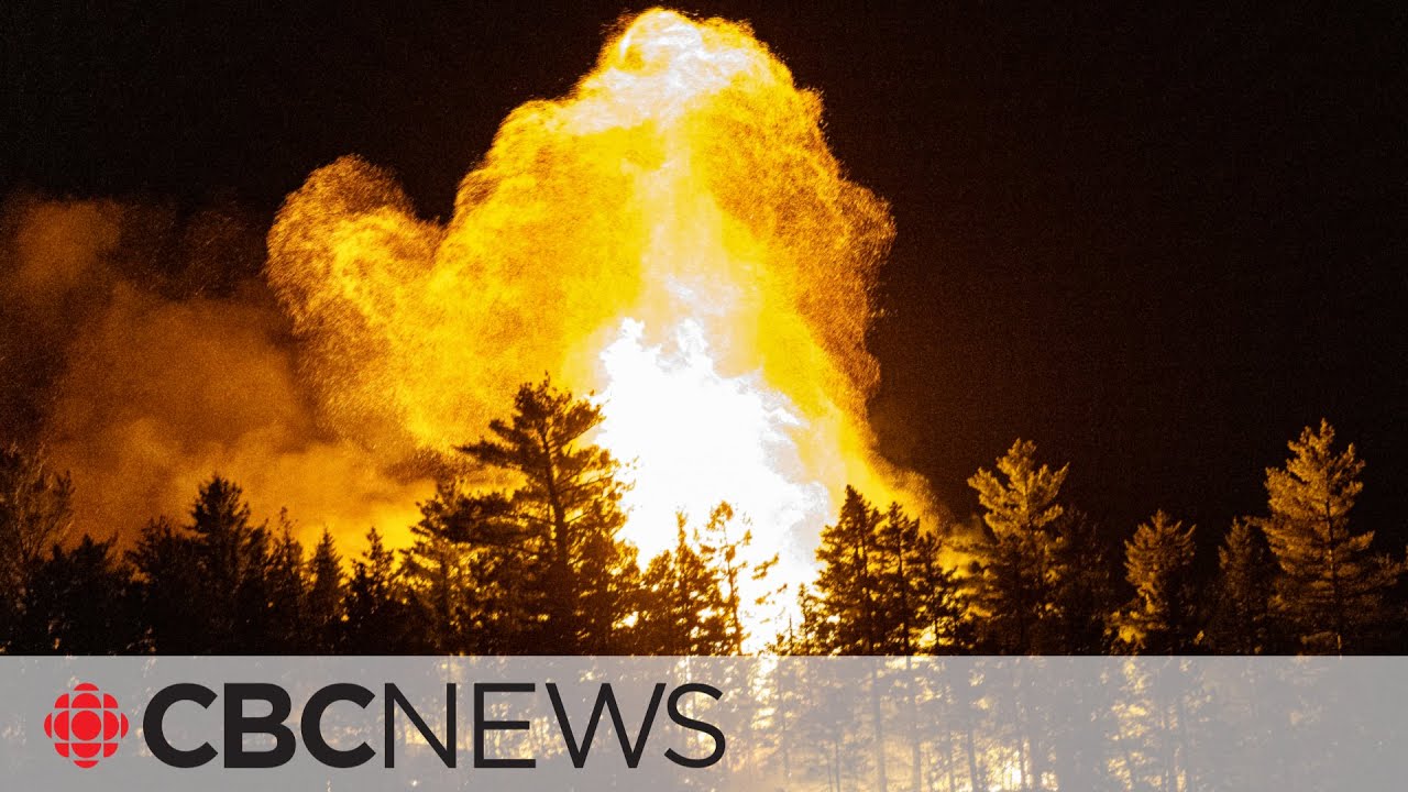 Minimizing the psychological impact of wildfires