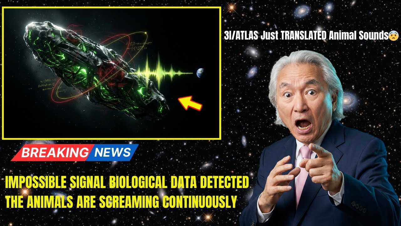 3I/ATLAS Just TRANSLATED Animal Sounds — What They're Saying is HORRIFYING | Michio Kaku