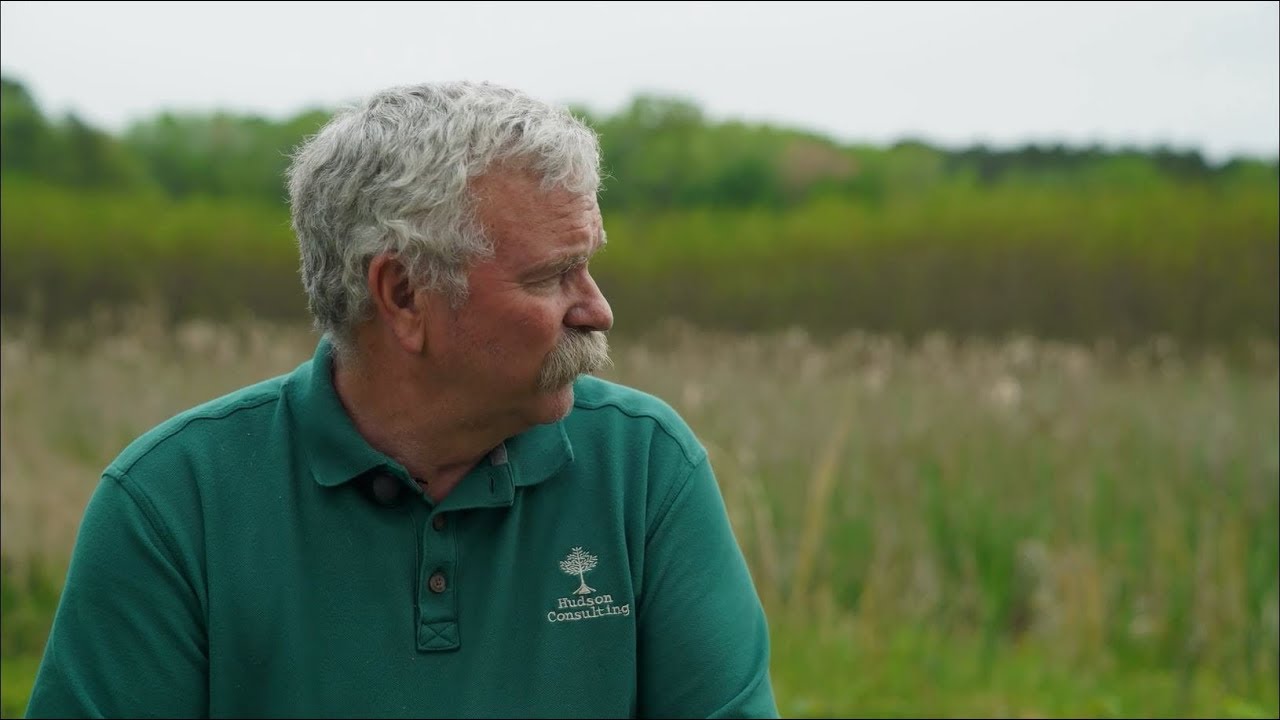 Wetland Restoration