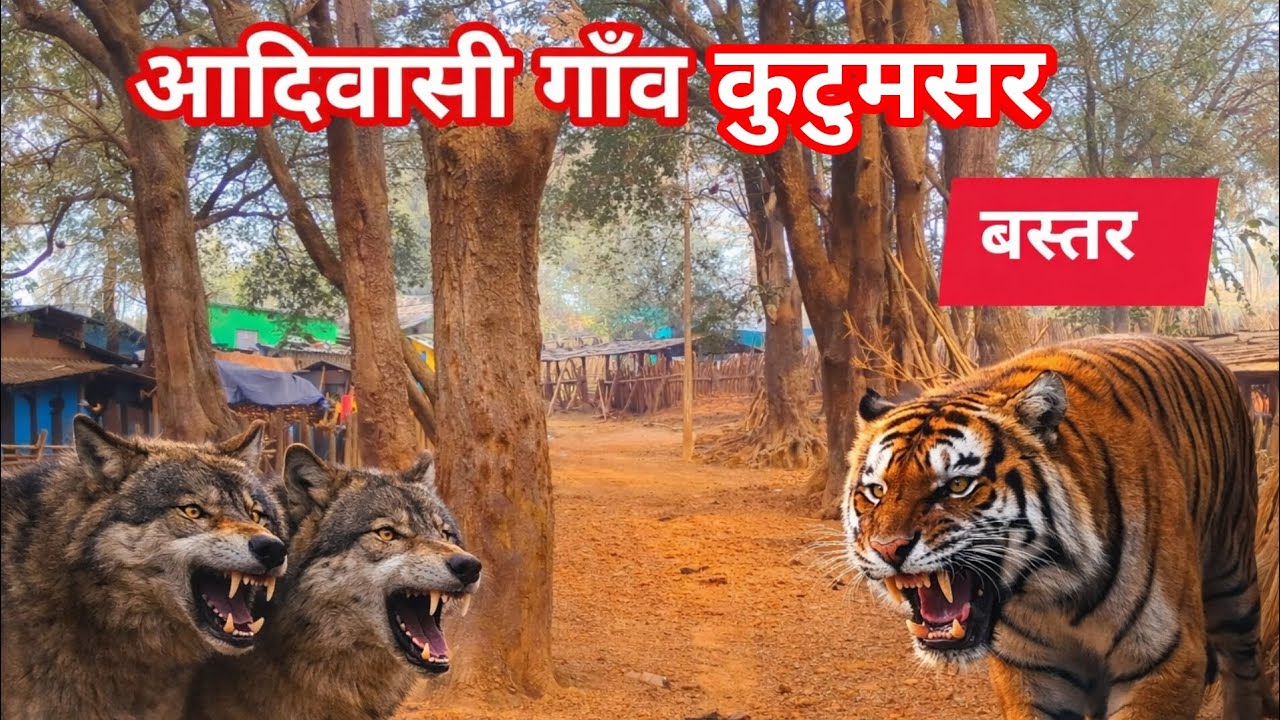 आदिवासी गाँव कुटुमसर | Chhattisgarh, Bastar 