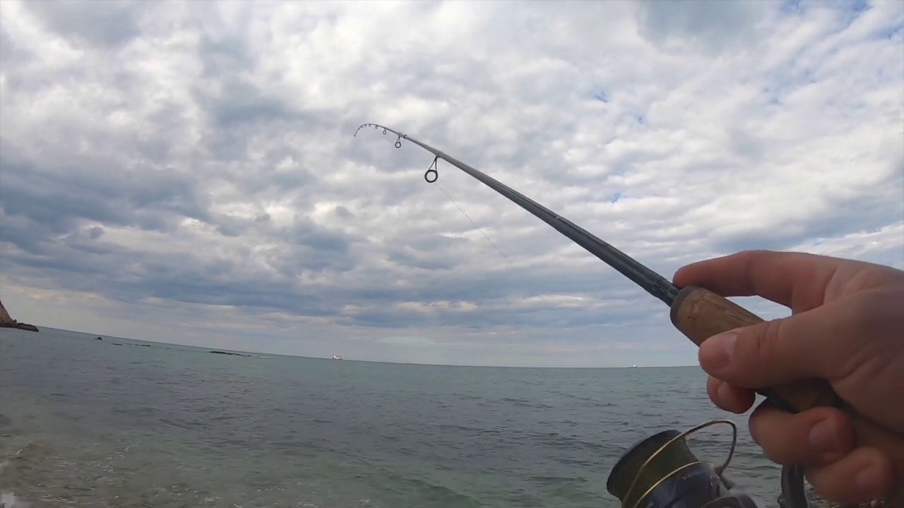 Occhiate in WTD con DUO Realis Pencil 85