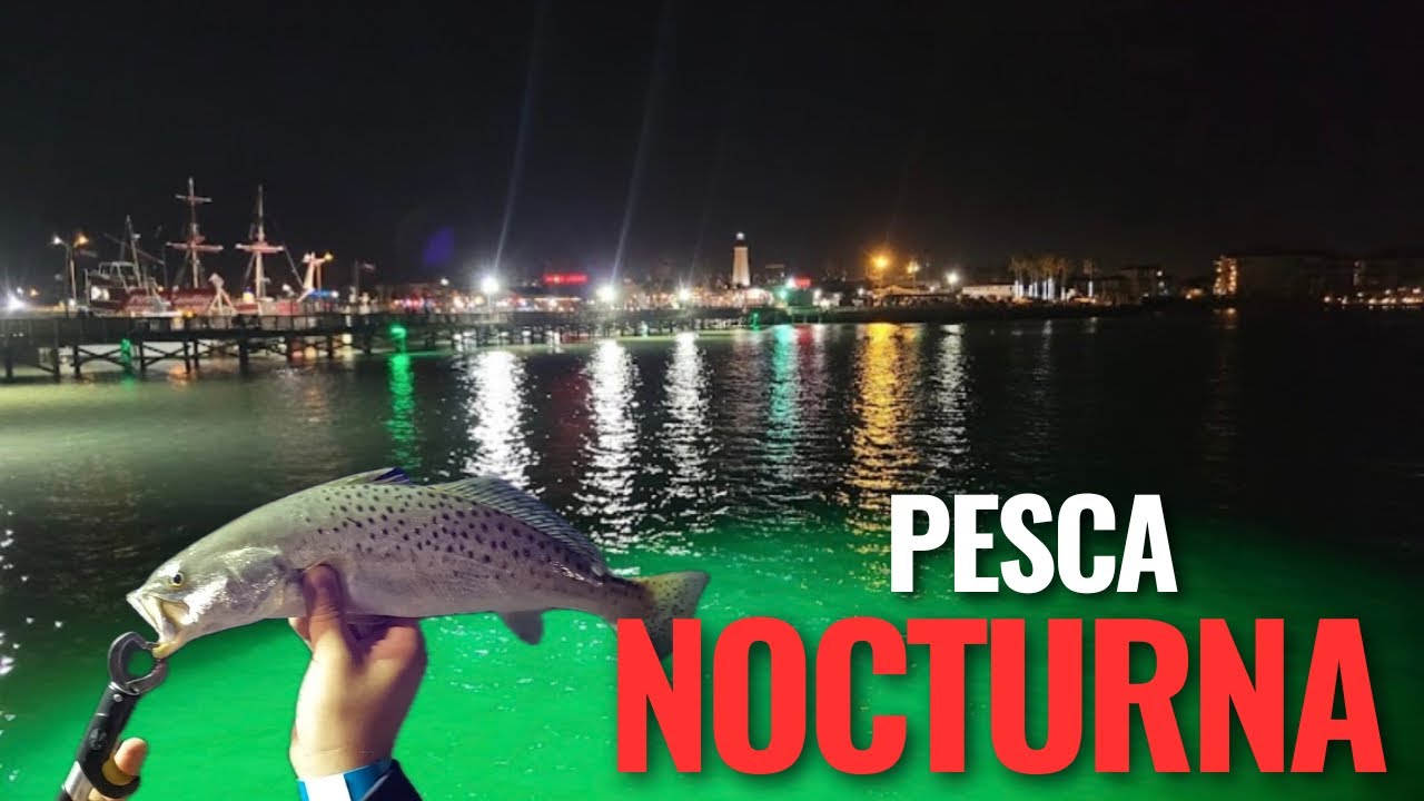 PESCA en PIRATES LANDING FISHING PIER, PORT ISABEL TX. therapy day catching some speckled trouts