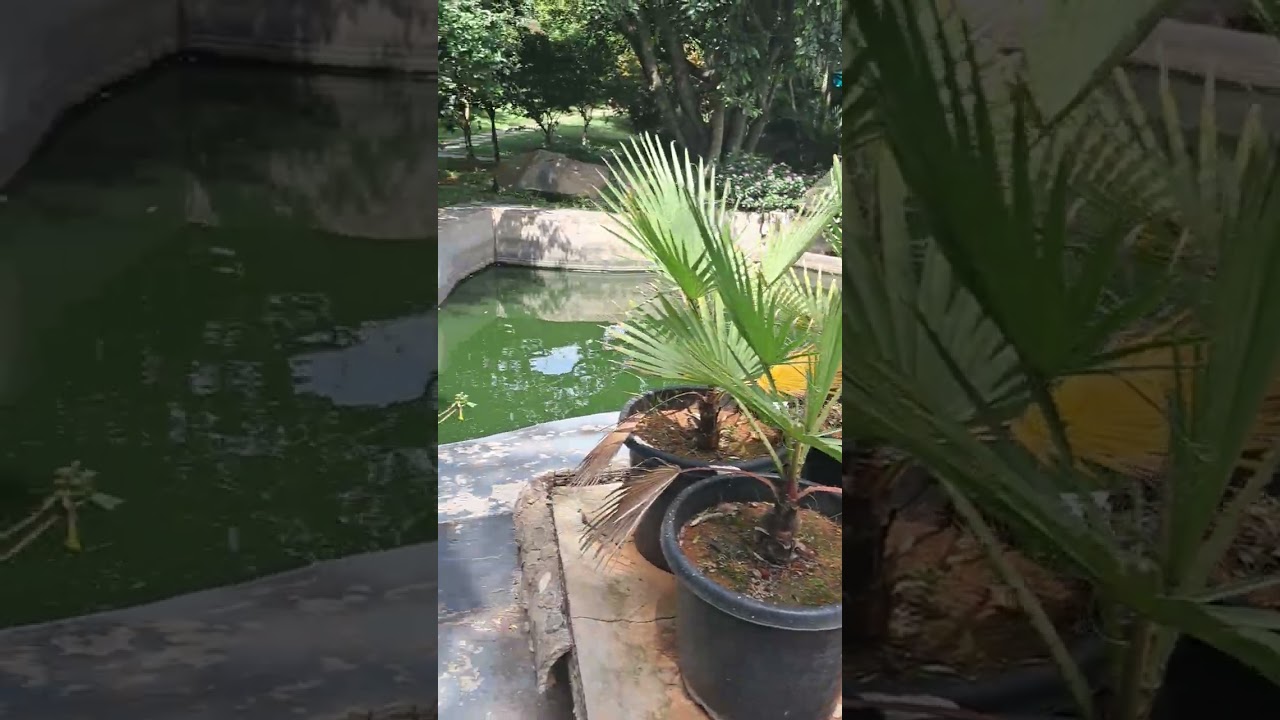 Nature.s.luxuri(confidentcascade mega resort convention centre) bannerugatta road.