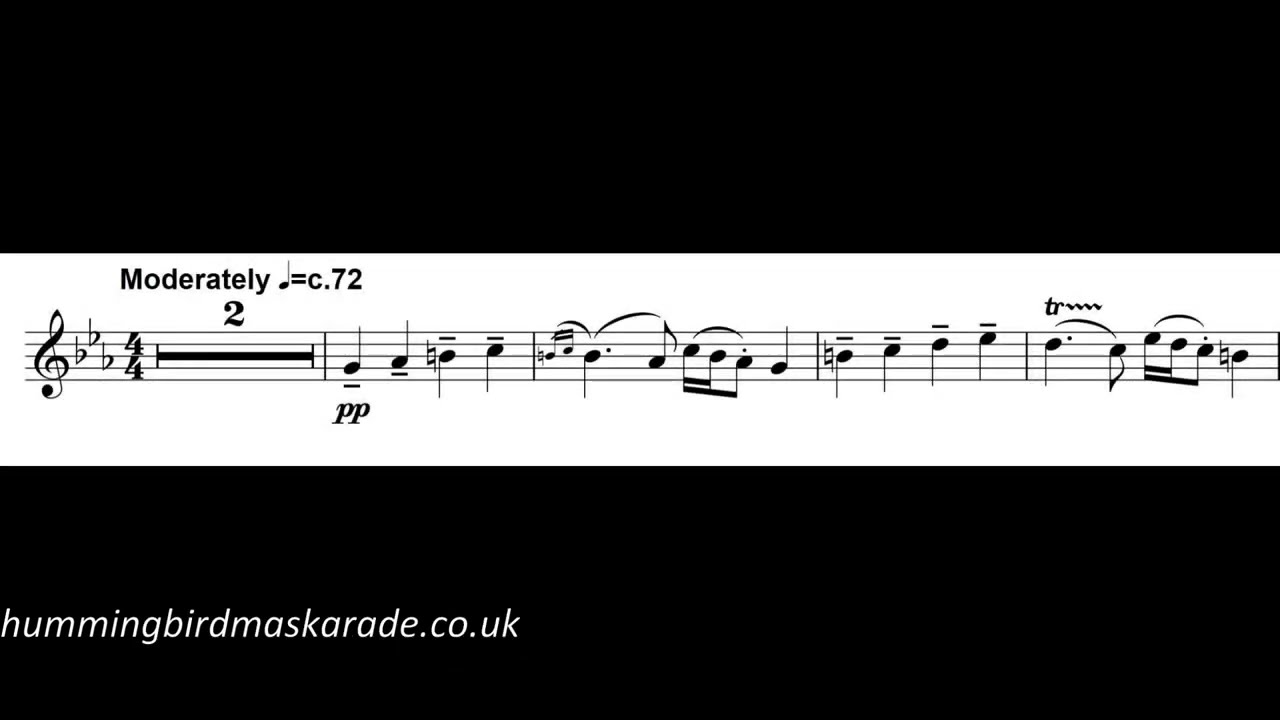 Odessa Bulgar - klezmer concert piece for clarinet and piano