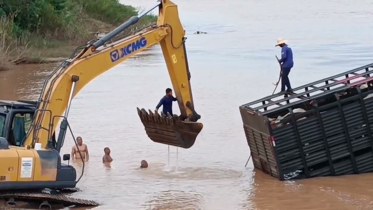 Carreta carregado de boi cai no rio são Francisco em manga MG 
