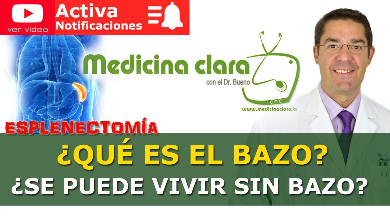 ¿Se puede vivir sin el bazo?.  Esplenectomía. Quitar el bazo | Medicina Clara