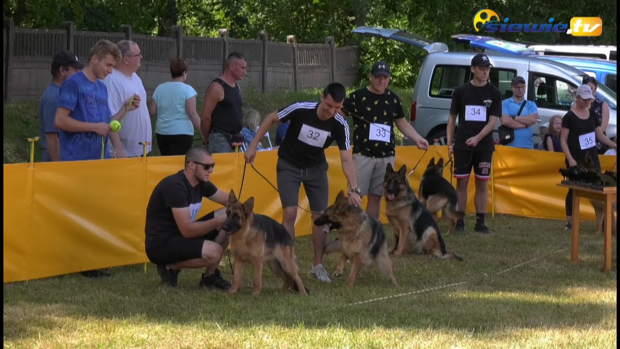 WYSTAWA OWCZARK&Oacute;W NIEMIECKICH W SIERADZU - siewie.tv