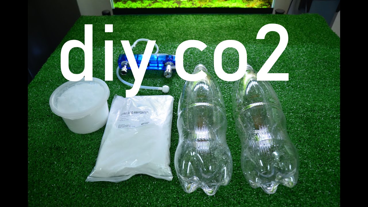 diy co2 kit d501