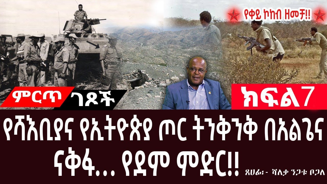 የሻእቢያና የኢትዮጵያ ጦር ትንቅንቅ በአልጌና||የአስመራው ሬንቦና የከተማው ቆነጃጅት||ክፍል 7||ጸሀፊ፡-ሻለቃ ንጋቱ ቦጋለ
