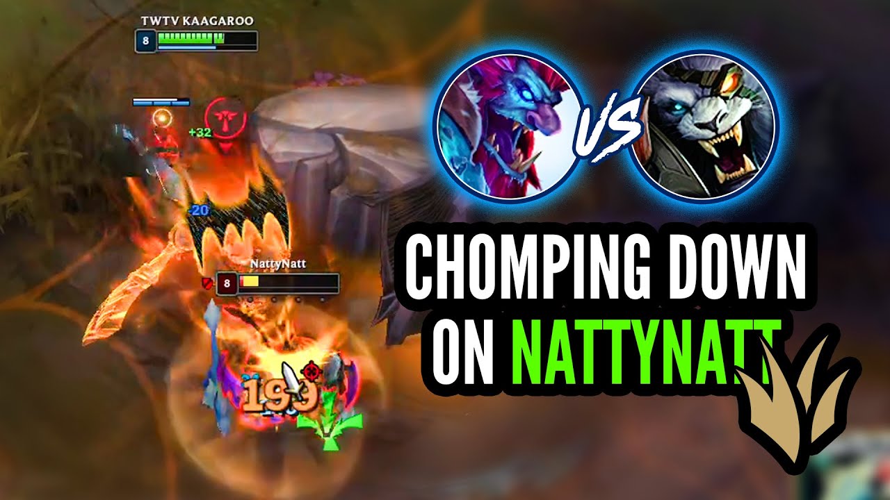 NattyNatt did NOT enjoy my TRUNDLE jungle
