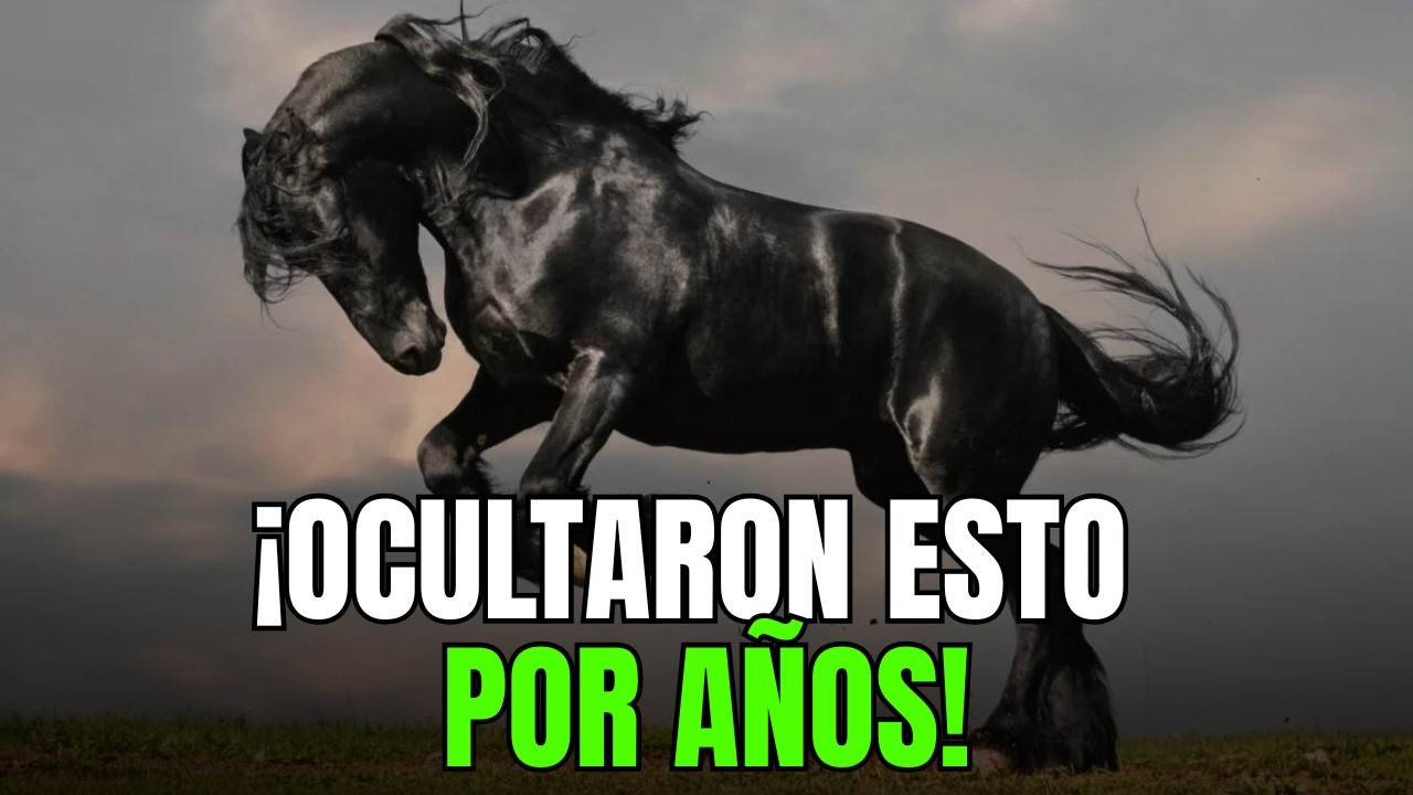 FRÍSIO  El Caballo que Desafió la Extinción