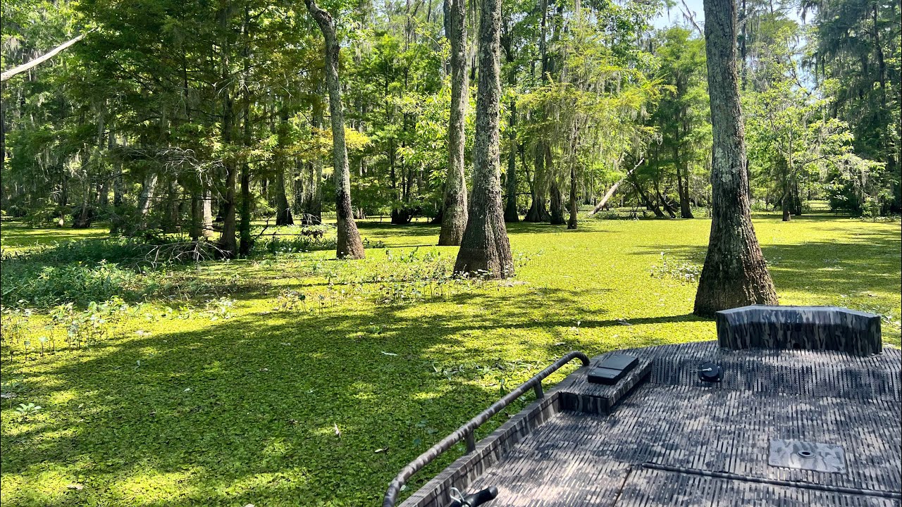 SPARKLEBERRY SWAMP 2024 DUCK RUN