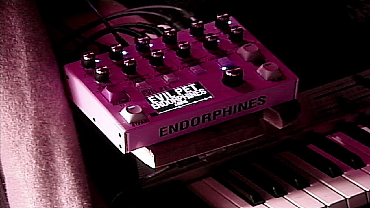 ｇｒａｉｎｕｌａｒ　ｅｘｐｌｏｒａｔｉｏｎ //  endorphine&rsquo;s EVIL PET - no talking