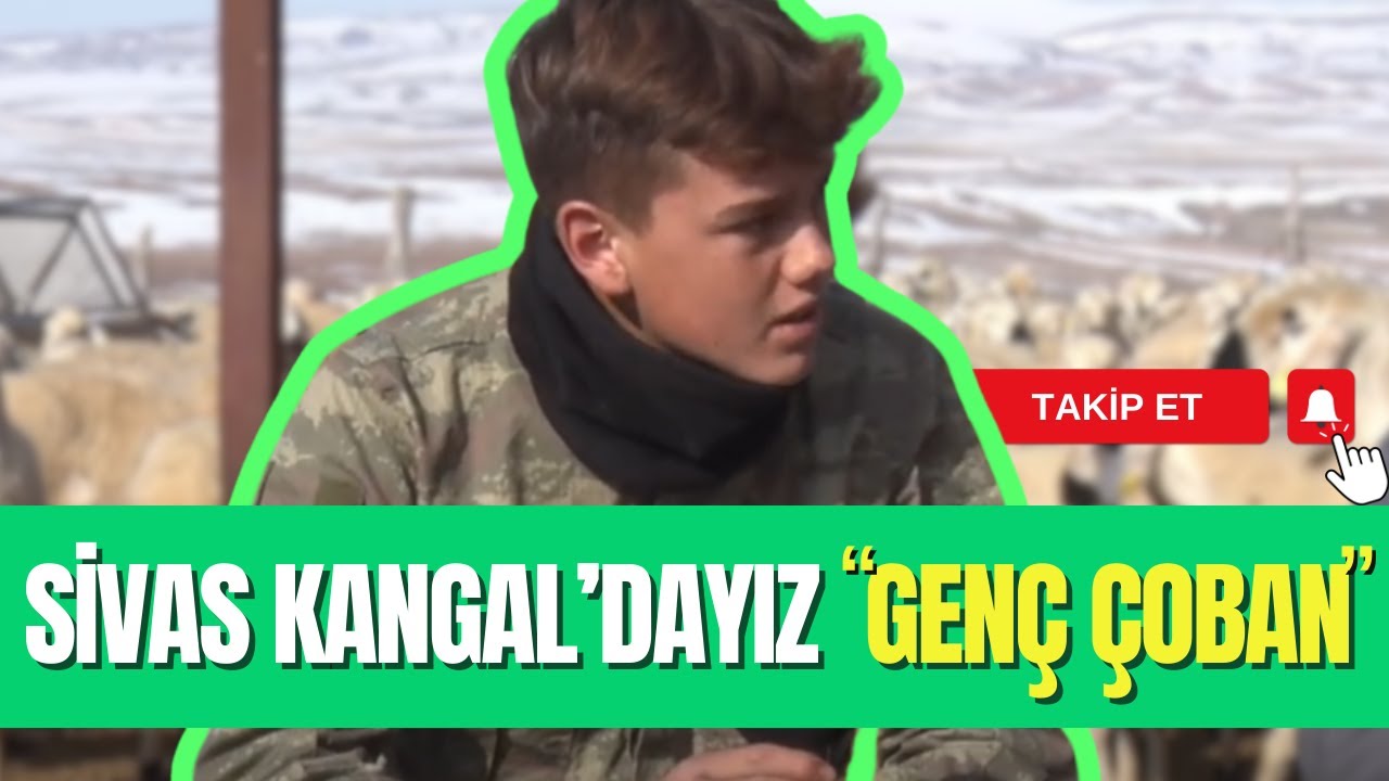 SİVAS'IN HARİKA GENÇ ÇOBANI l ÇOBANIN YOLU