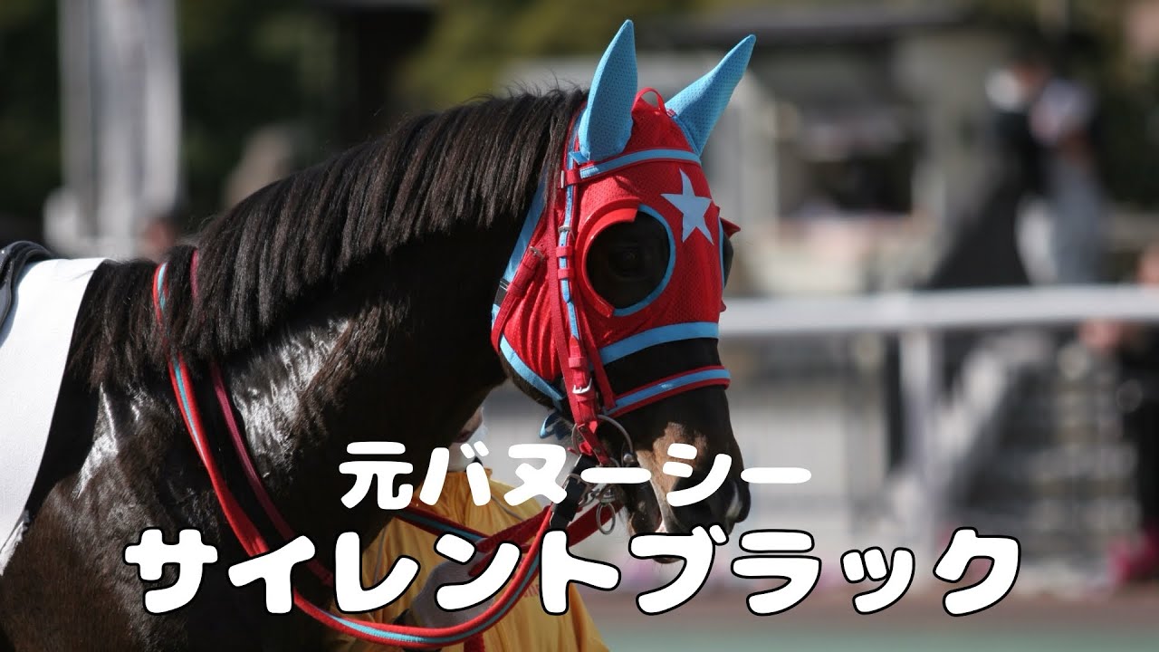 【元バヌーシー】サイレントブラック大井移籍初戦4着‼️