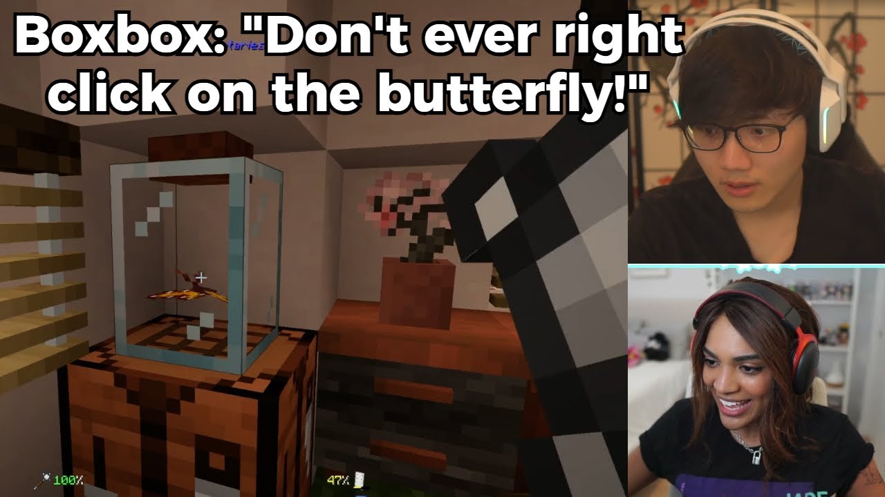 Boxbox trolls Sydeon with Butterfly in Daph house! | OTV Minecraft SMP
