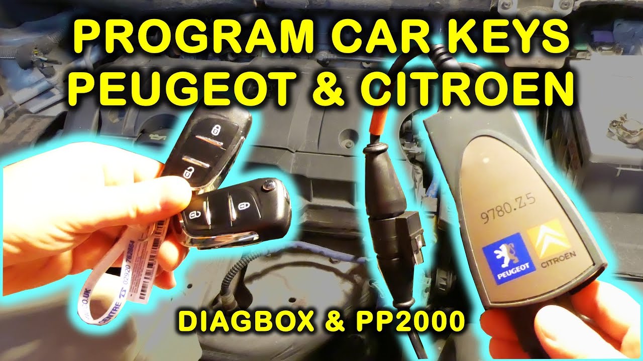 Программирование ключей автомобилей Peugeot и Citroen с помощью Diagbox и PP2000 (Peugeot Planet ...
