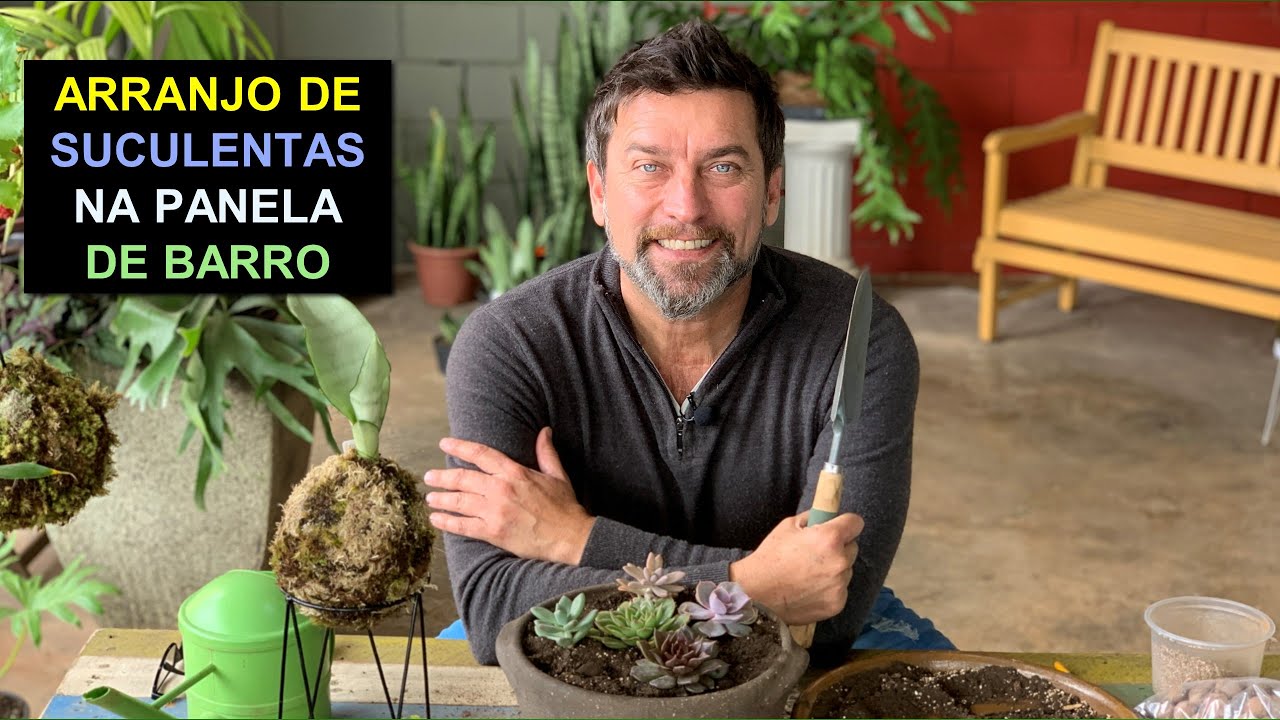 Arranjo de Suculentas na Panela de Barro