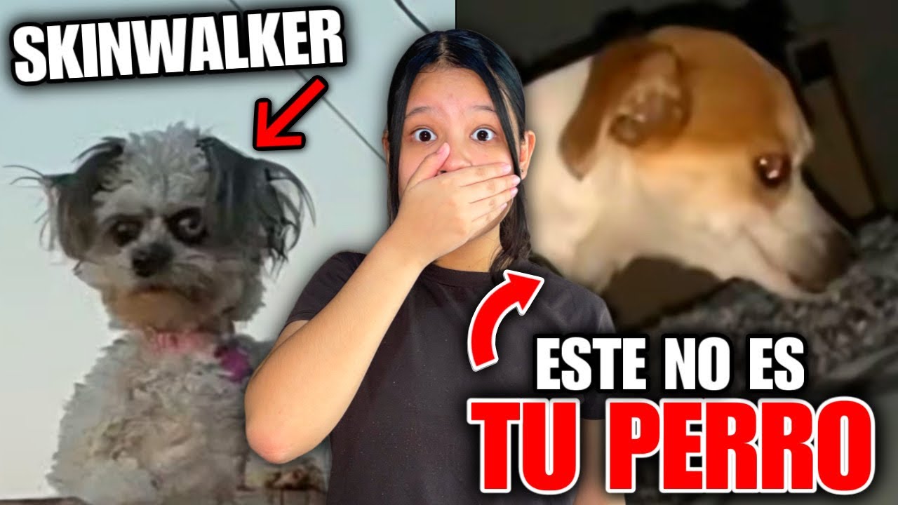 CUIDADO ESTE NO ES TU PERRO!! ES UN SKINWALKER😱 ANIMALES ACTUANDO COMO HUMANOS| Regina MH
