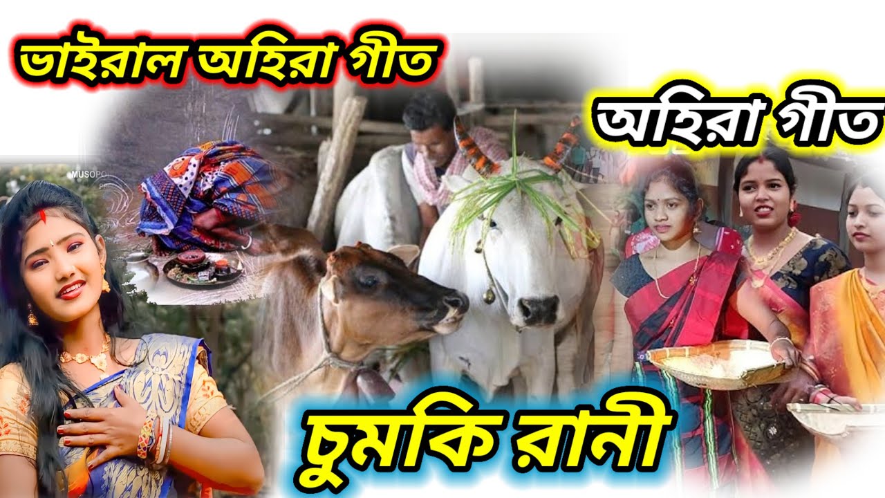 অহিরা গীত !! Chumki rani mahato !! Chumki rani mahato ahira geet !! New ahira geet !! 