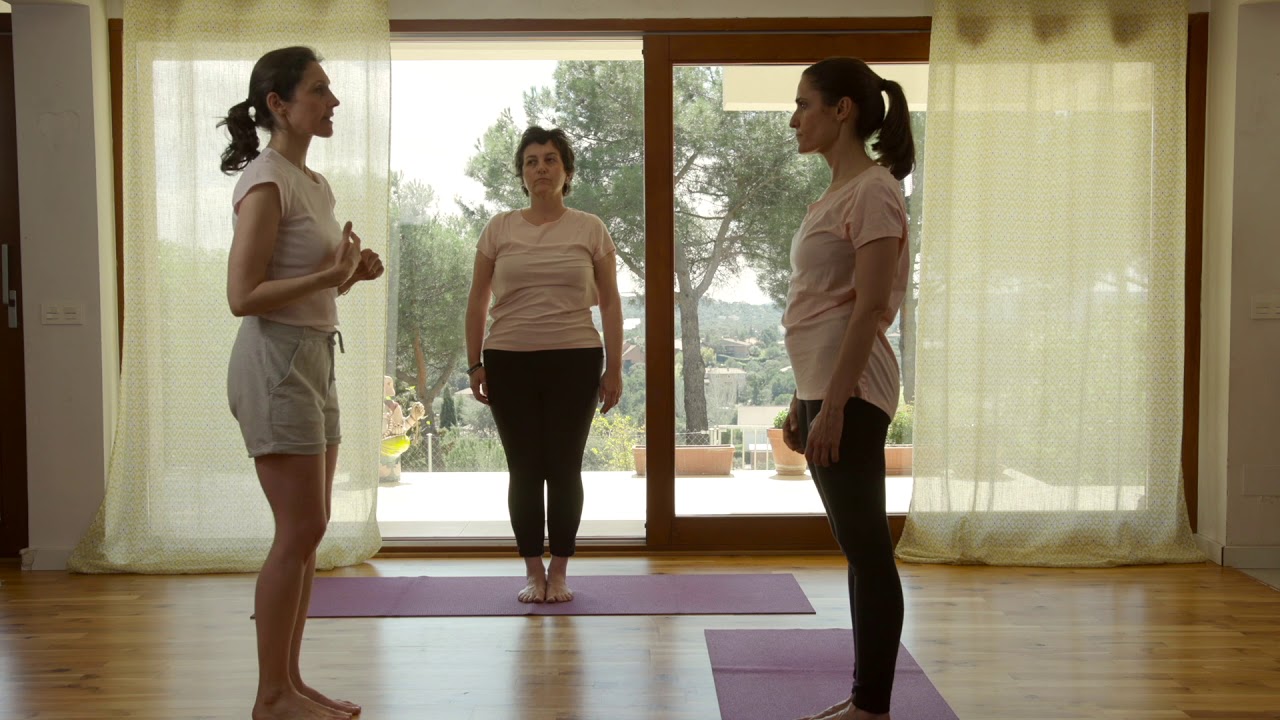 curso de yoga para principiantes/clase 1