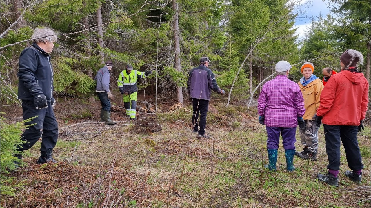 Piikkilankatalkoot. Demolition of the old spike fence.