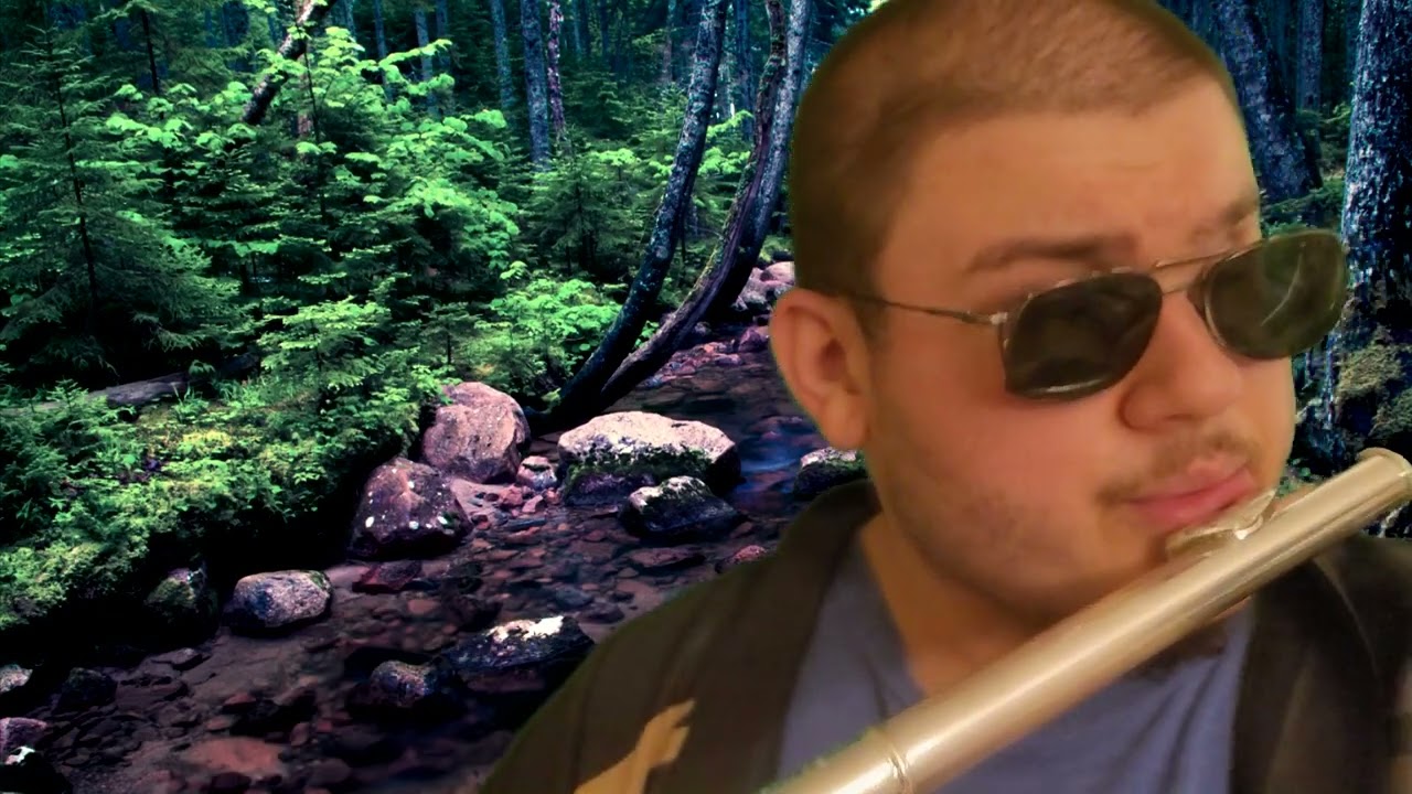 Pikmin - Forest of Hope - (Alto Flute Cover)