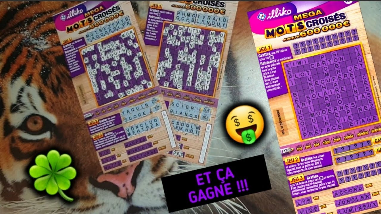 LE GAIN EST LA !! MAXI MOTS CROISES CHALLENGE / MERCI LA FDJ !!🍀🤑😂🤑🍀