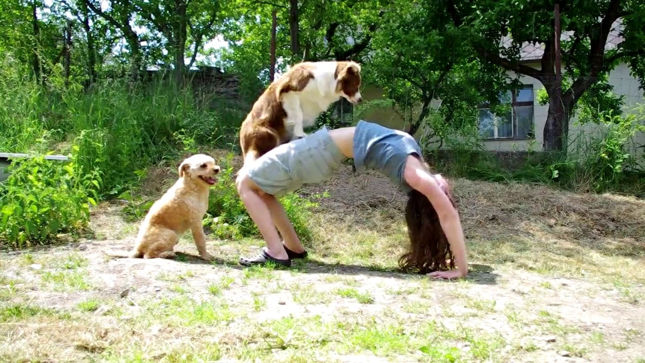 JADE, JUSTY & JERRY - the DOG personal trainers