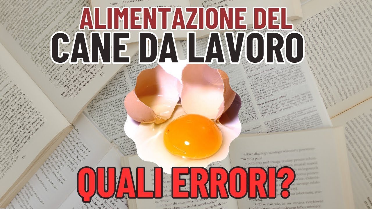 COME ALIMENTARE il cane da TARTUFI?