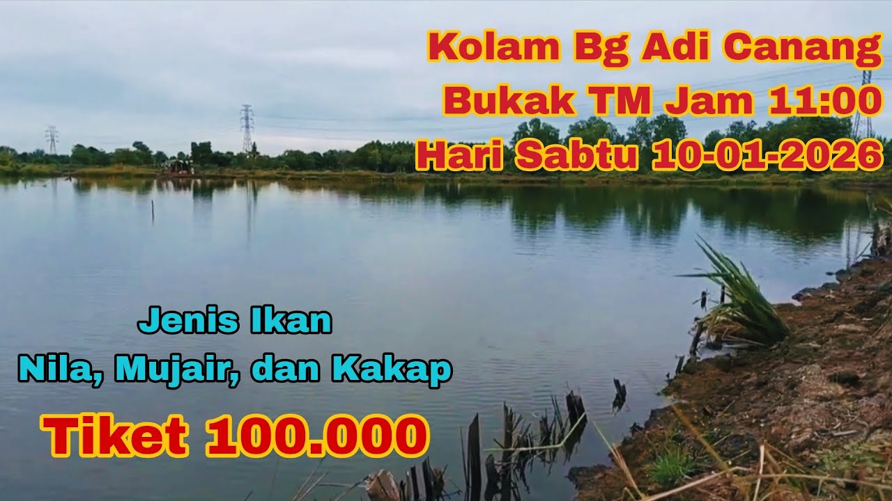 Kolam Bg Adi Canang, TM Jam 11 Malam Minggu 10-01-2026 || Tiket 100.000