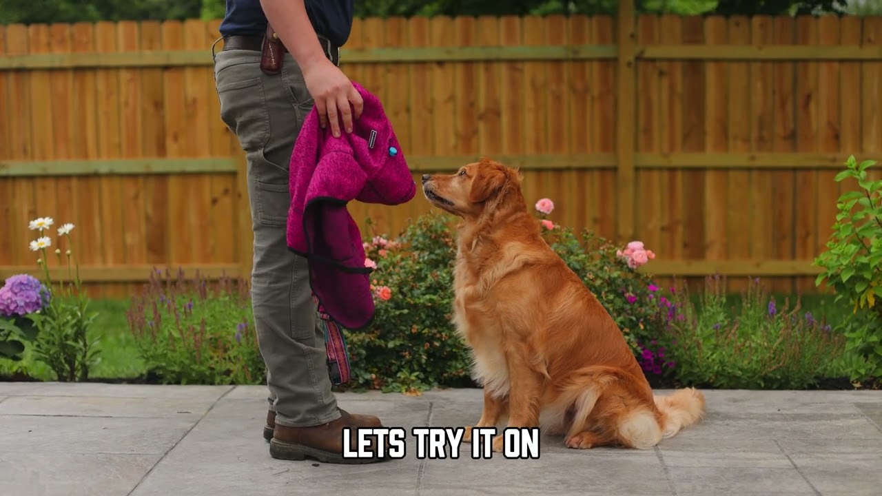 Wilderdog Dog Fleece Jacket Sizing and Fit