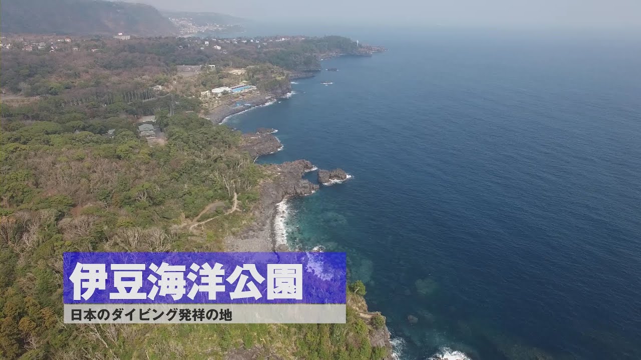 伊東市 7つのダイビングスポット紹介(ドローン空撮・水中映像)