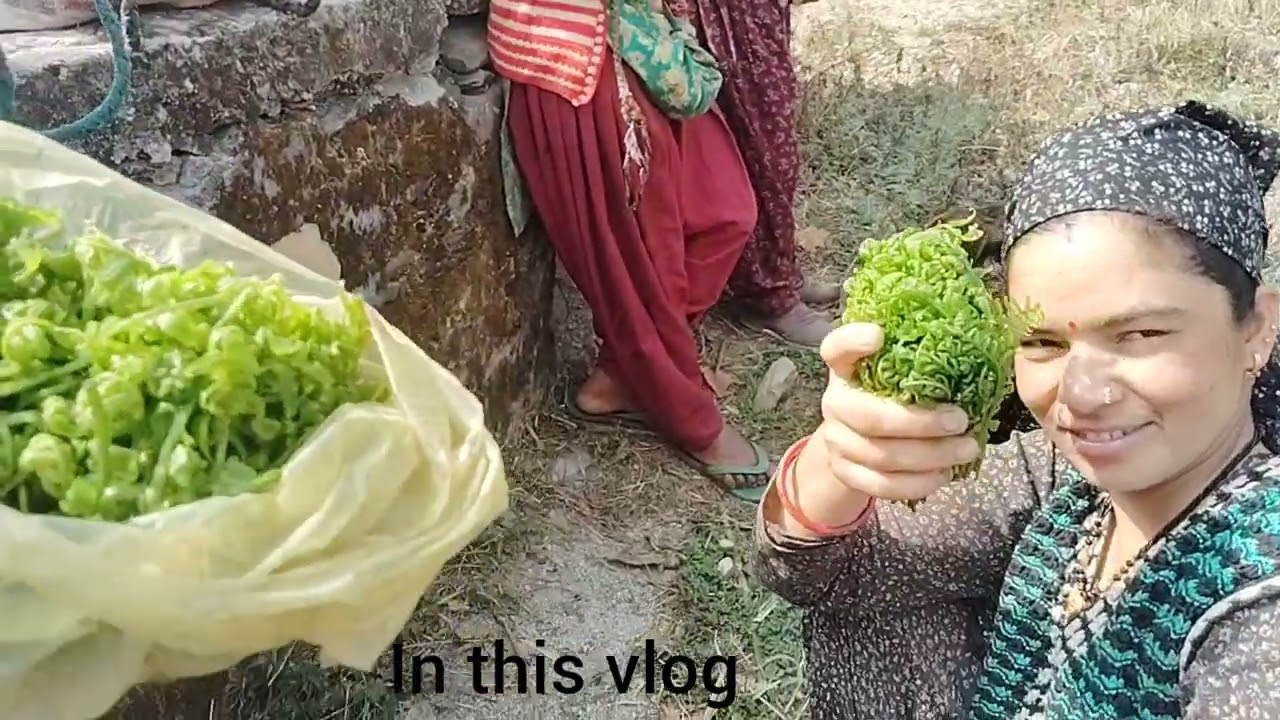 पहाड़ों में आजकल पौष्टिक सब्जी 👈🤗🤗