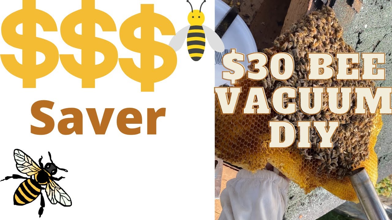 $30 Bee Vacuum! Cheap and effective bee rescue tool