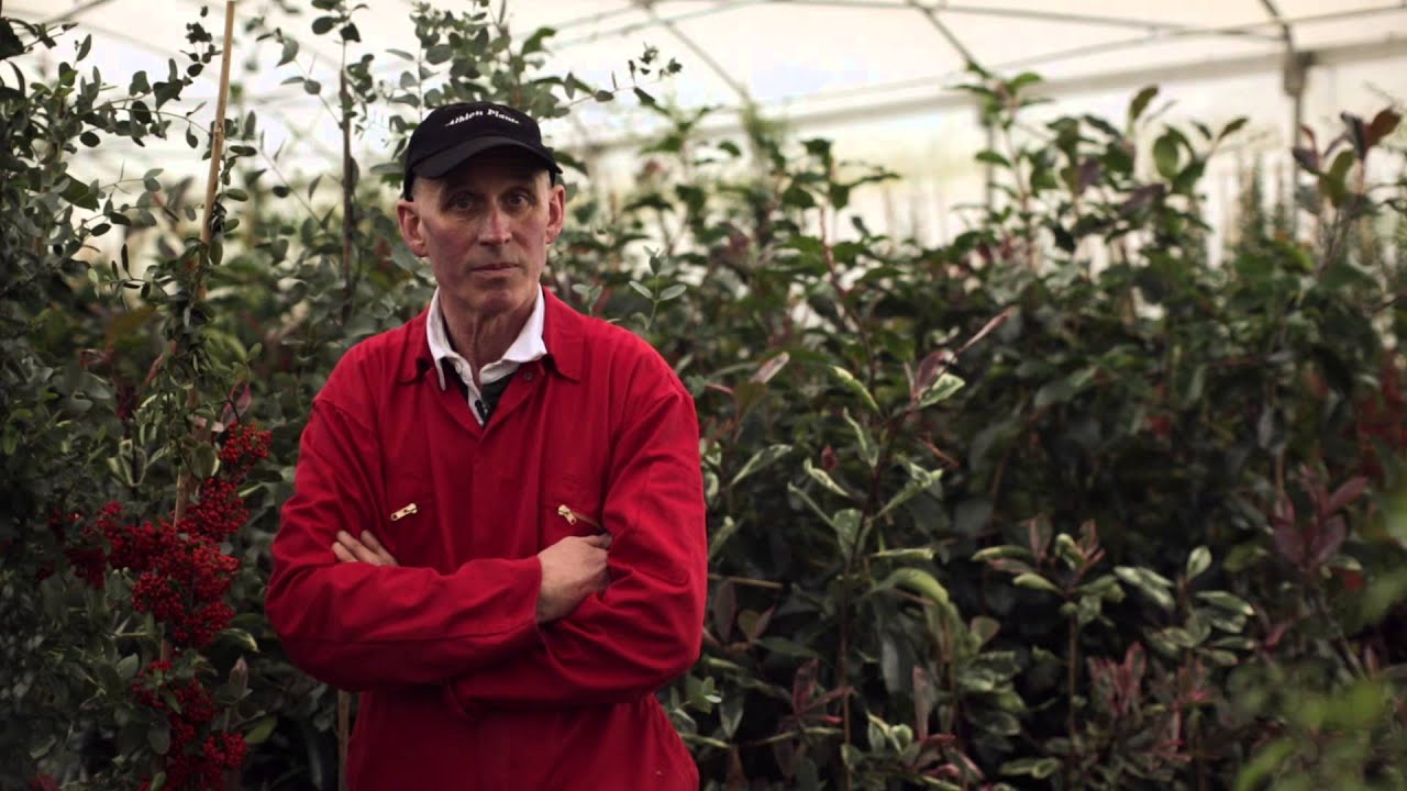 Albion Plants creates a heated growing area with a Leader4 grant