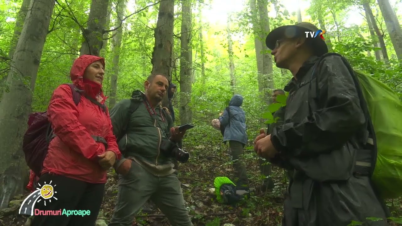 De vizitat la pas: Parcul Național Cheile Nerei Beușnița, tezaur al naturii #DrumuriAproape @TVRTM