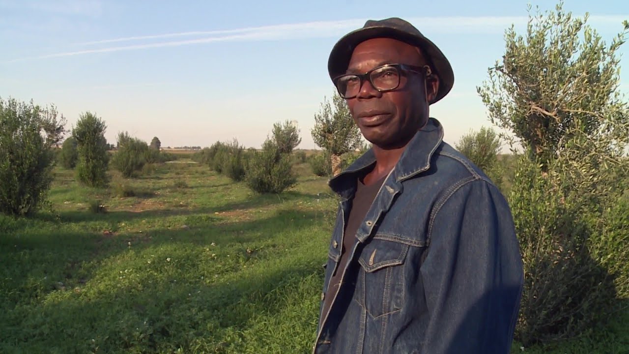 Italiens Sklavenmarkt: Die Slums der afrikanischen Erntehelfer | SPIEGEL TV