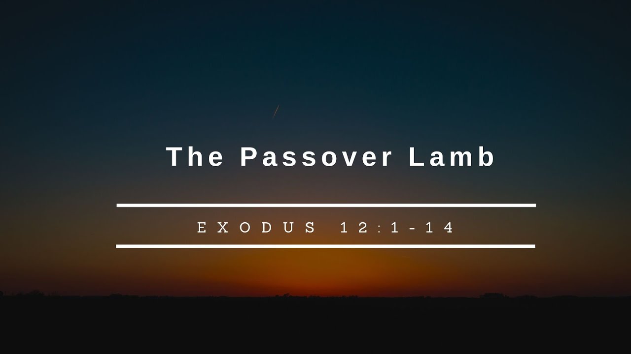 January 4, 2025 - VA Fellowship Church Sunday Service