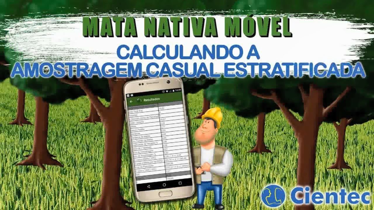 Mata Nativa M&oacute;vel - Calculando a Amostragem Casual Estratificada