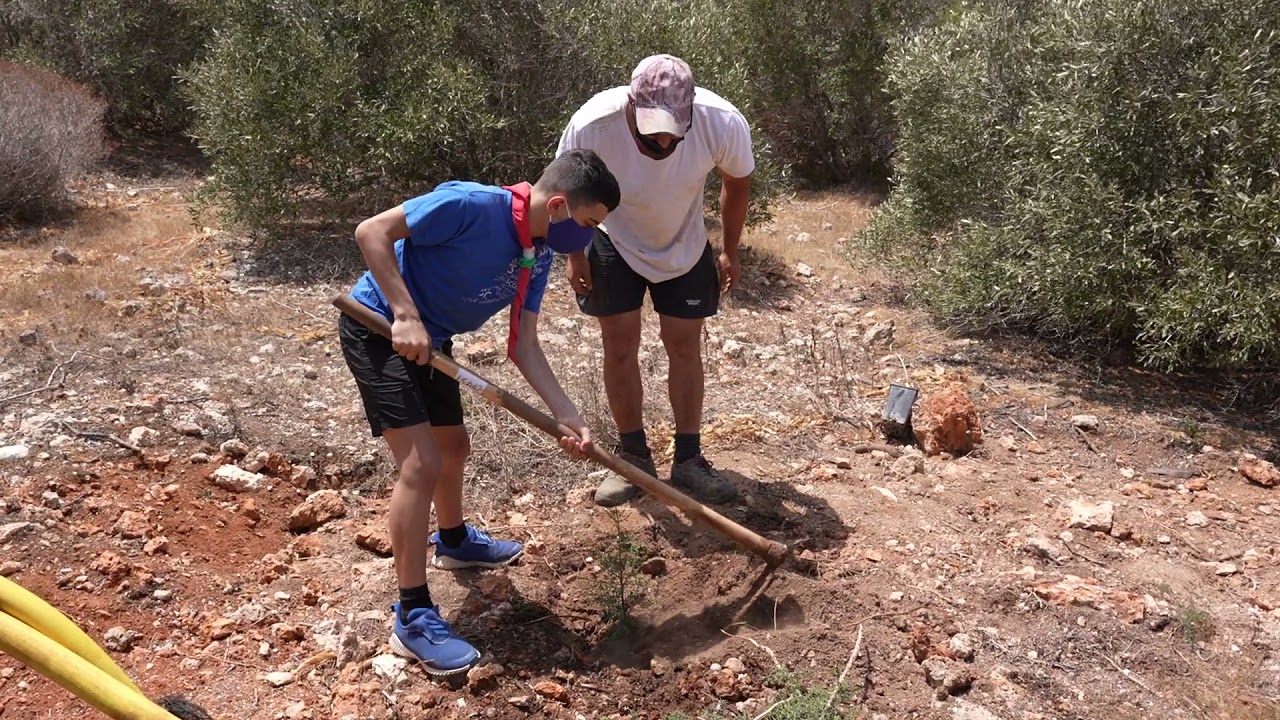 FKNK - Planting of indigenous trees at the Miżieb and l-Aħrax Reserves