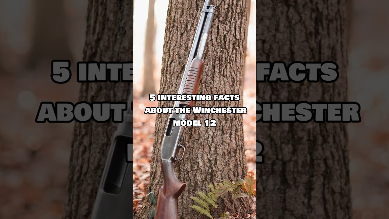 5 интересных фактов: Winchester Model 12