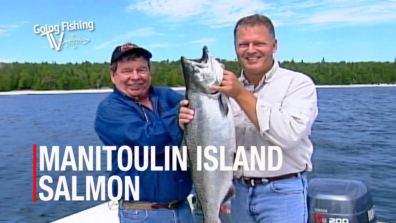 Salmon at Meldrum Bay with Nils Kravis