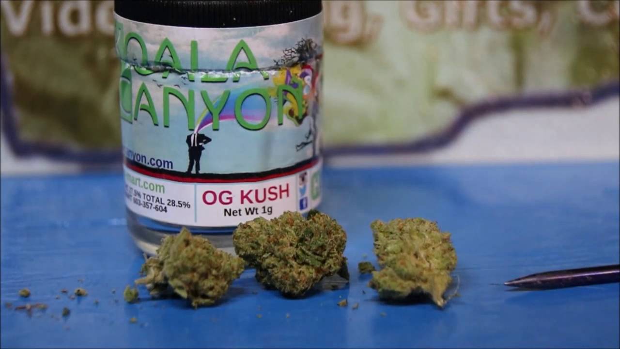 Koala Canyon OG Kush Legal Weed Review 420 Strain Review