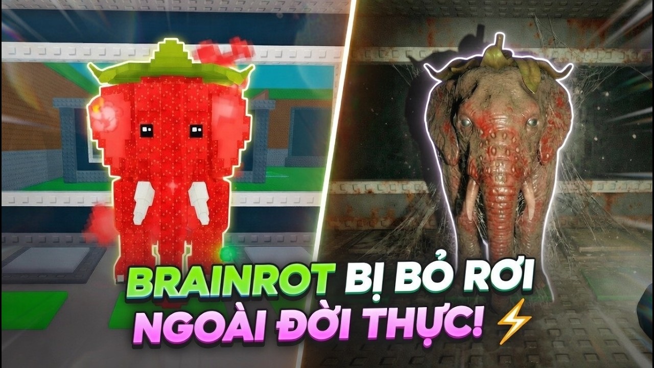 TÔI ĐÃ TÌM THẤY CÁC CON BRAINROT BỊ BỎ RƠI NGOÀI ĐỜI THỰC! 🔥⚡