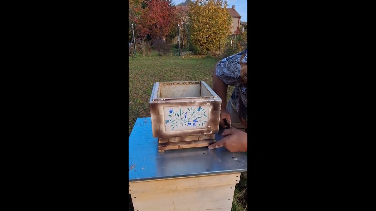 Na&scaron;e nov&eacute; dno k miniplusu 27.10. 2024