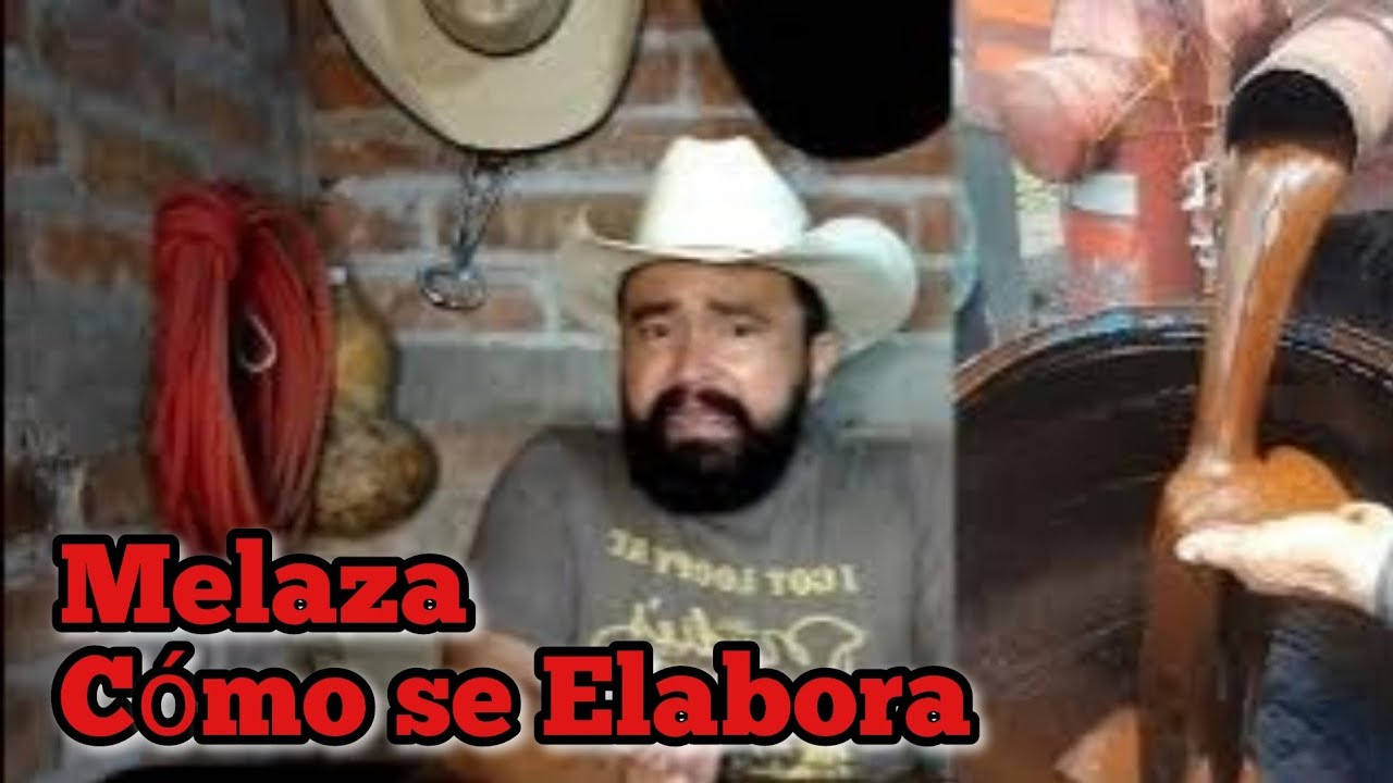Melaza para Ganado, como de Elabora, nutrientes y beneficios.
