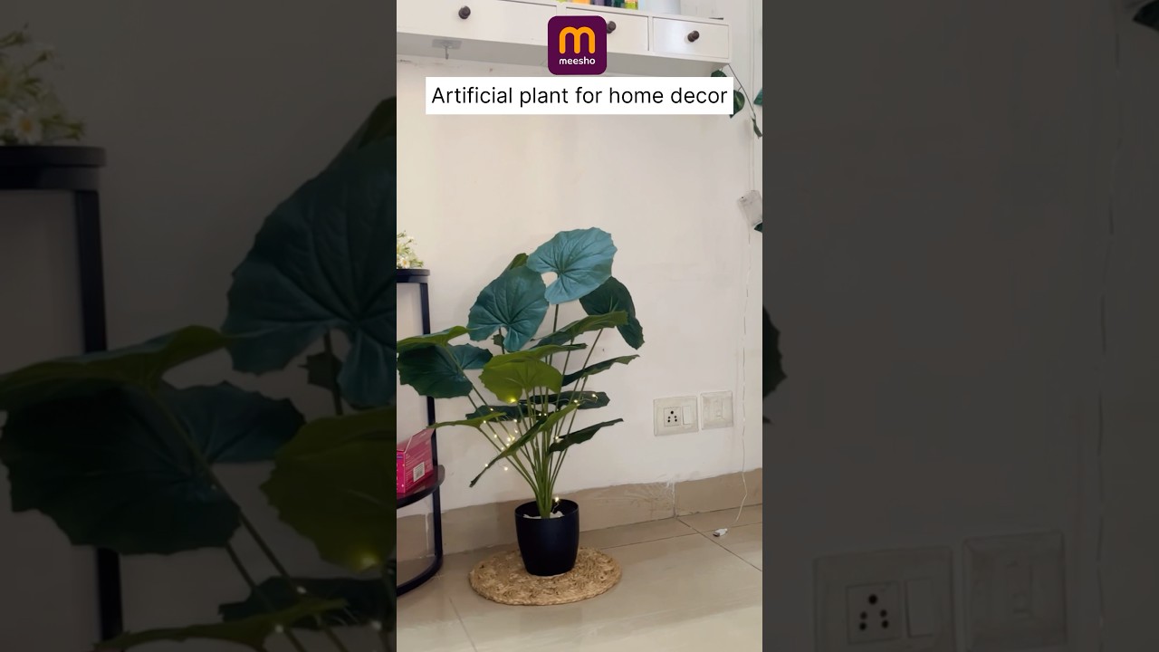 Artificial plant from Meesho✨ #meeshofinds #homedecor #meesho #meeshohaul #shorts