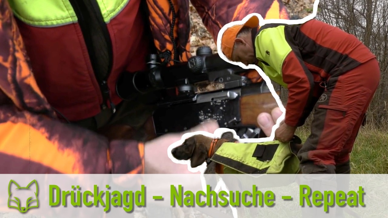 Dr&uuml;ckjagd und Nachsuche - 3 Tage mit F&ouml;rster Albrecht Heite